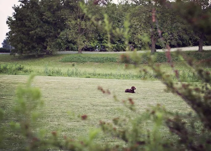 Hotel Natura Garabonc